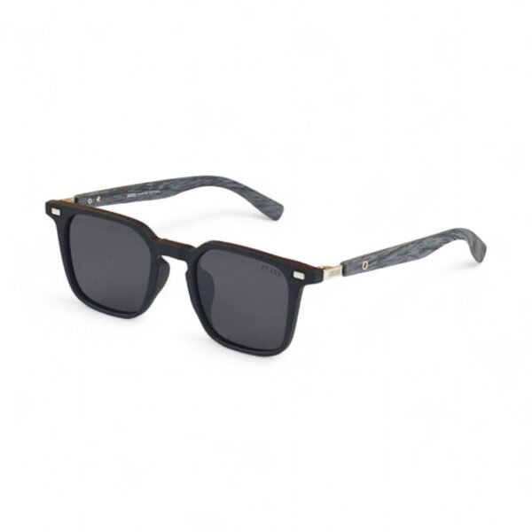Sunglass