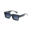Polarized Sunglass