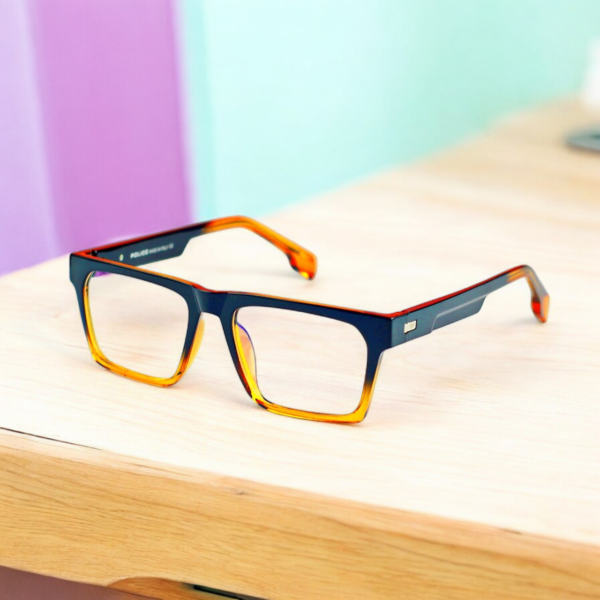Sunglass