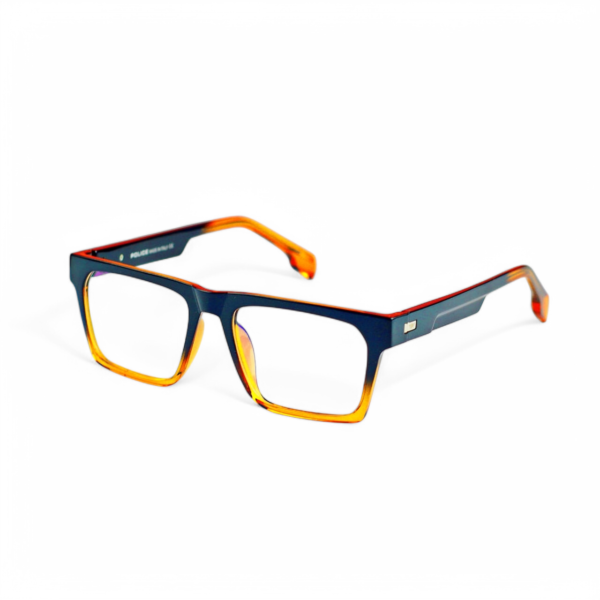 Sunglass