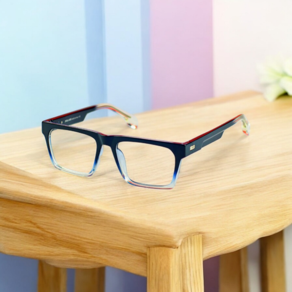 Sunglass