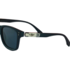 Polarized Sunglass